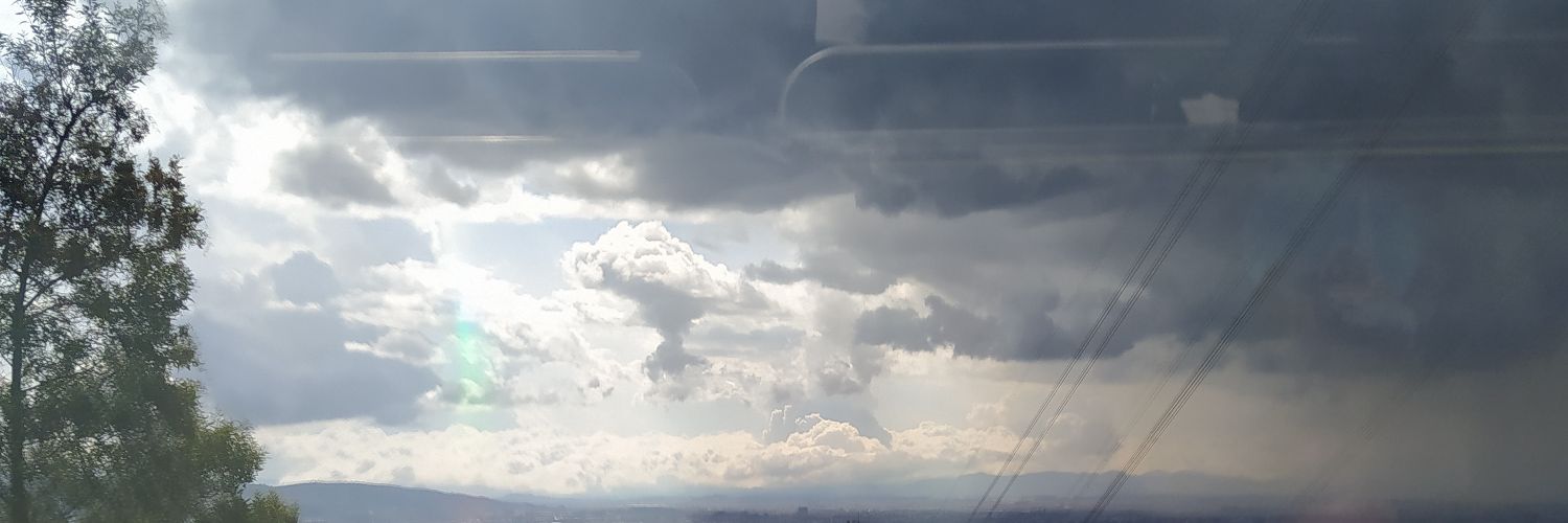 Johana Benavides banner