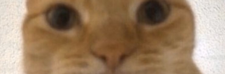 OtherOpt's profile banner image
