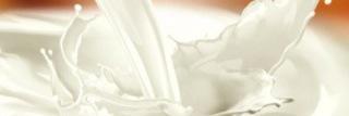 49rabbits's profile banner image
