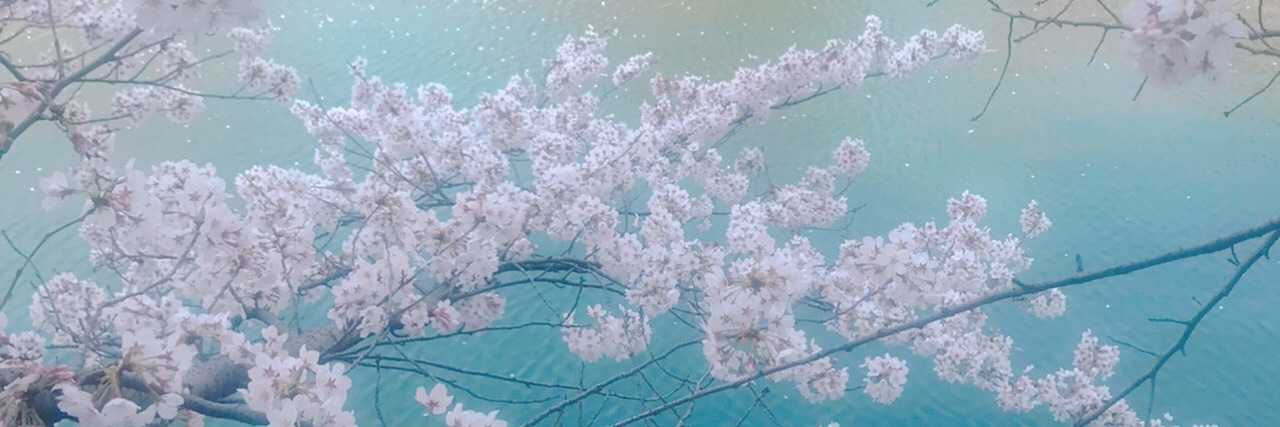 header image
