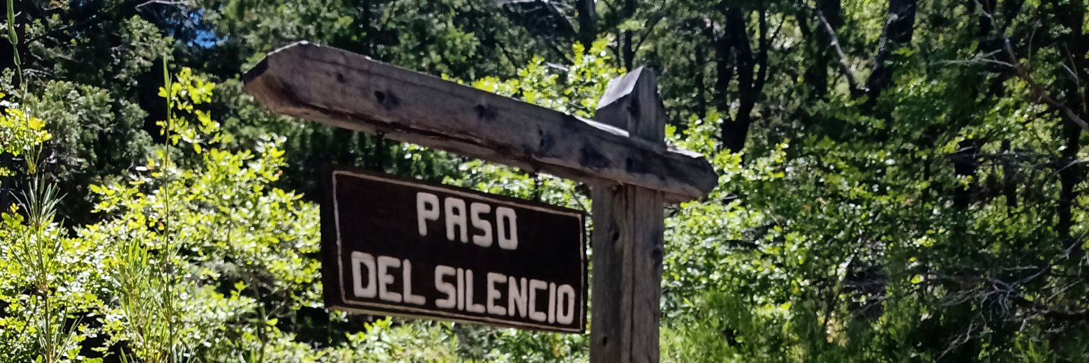 medinaleonel09's profile banner image