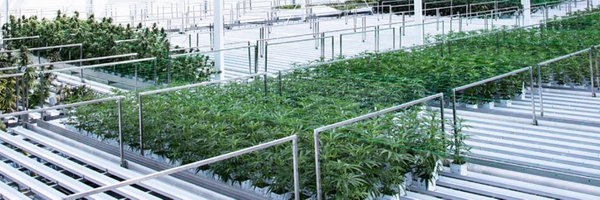 savoner Profile Banner