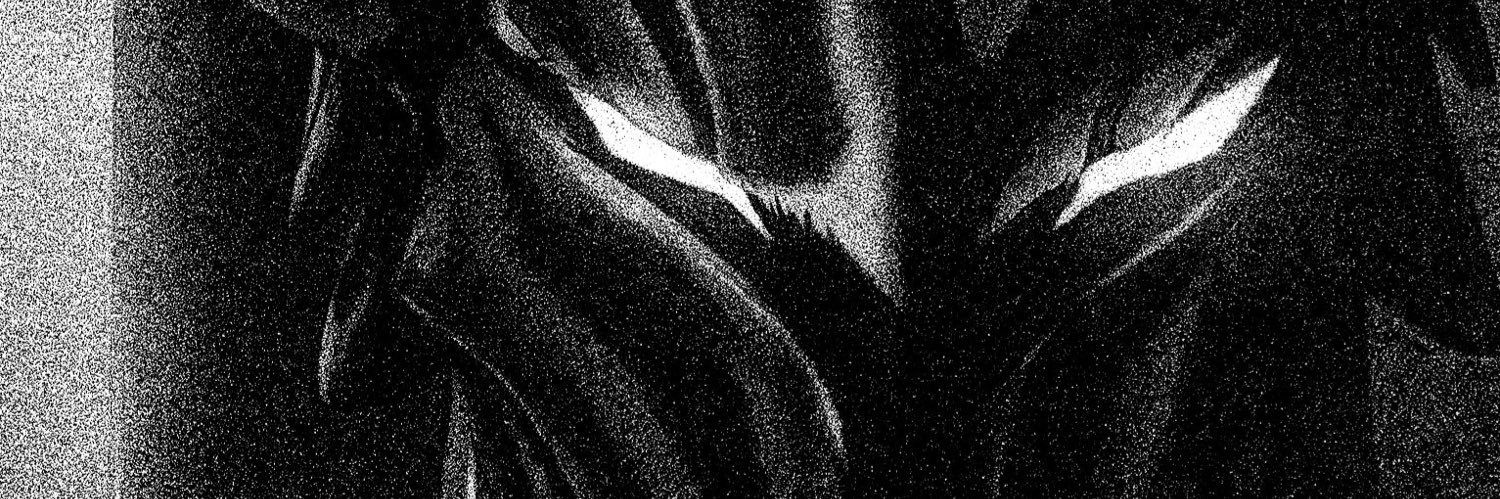 hecmoii's profile banner image