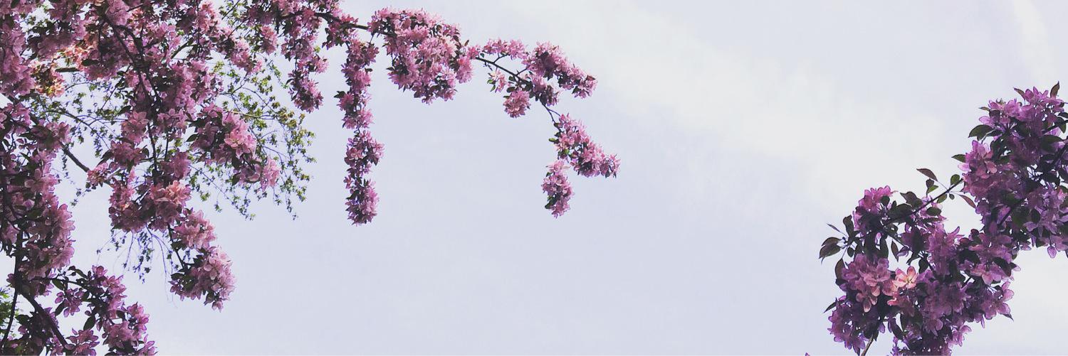 MalibuGetty's profile banner image