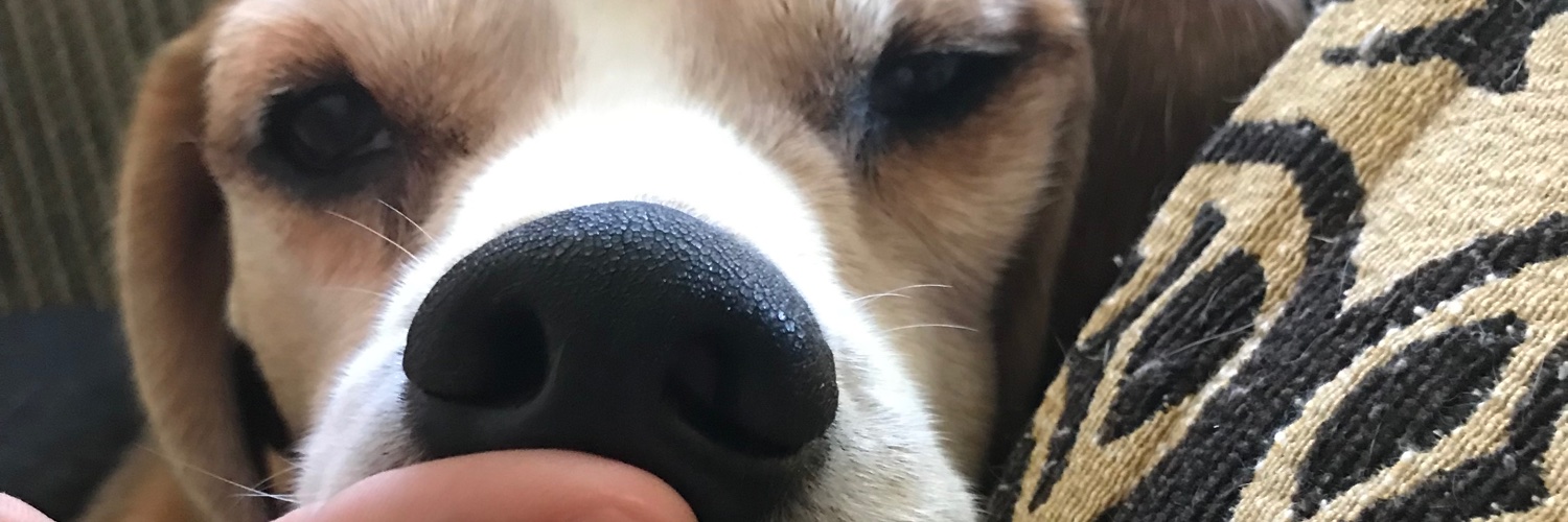 laureetth's profile banner image