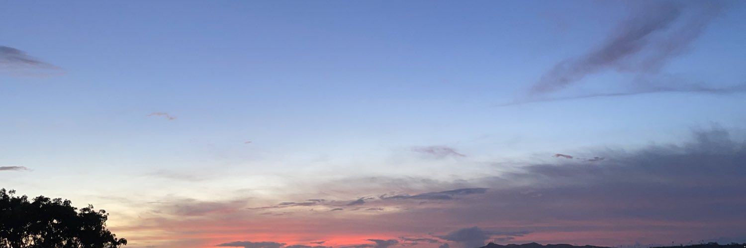 ChristianalynS's profile banner image