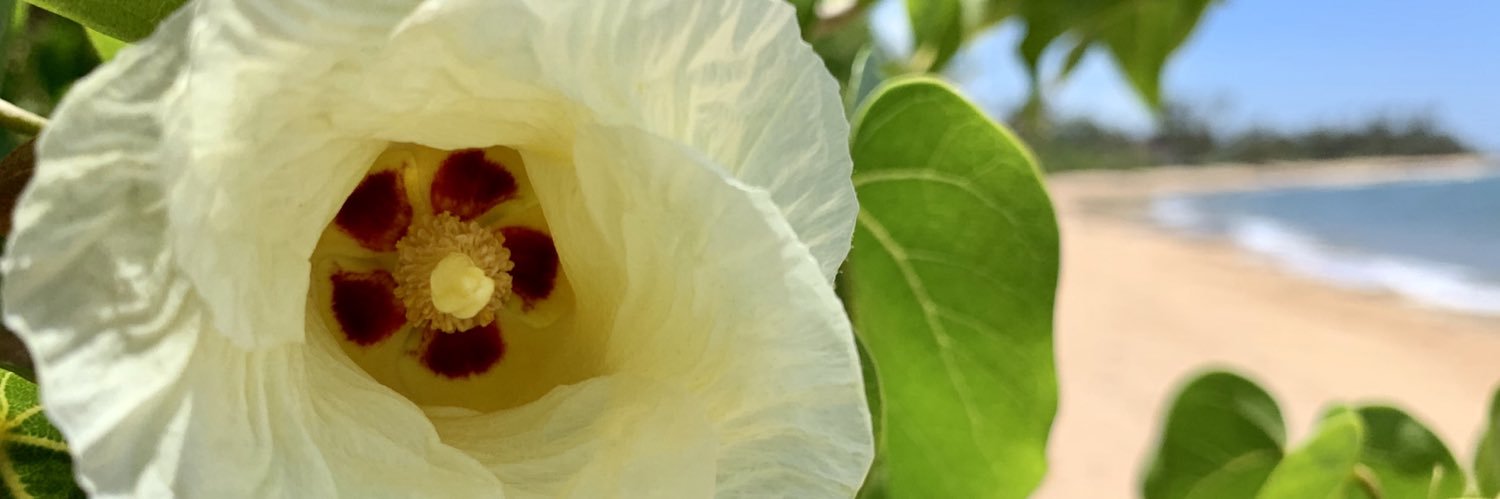 prmnp's profile banner image