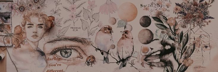 asperantia's profile banner image