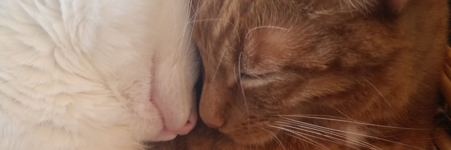 DjMiloKat's profile banner image