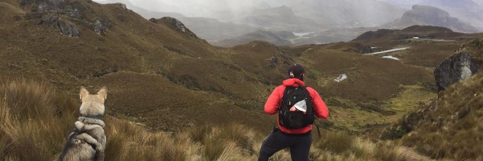 kevinmaciass's profile banner image