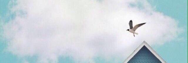 343_sha's profile banner image