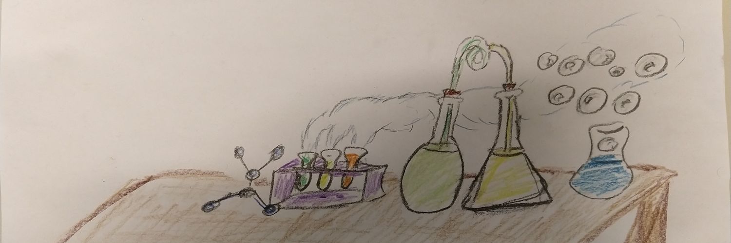 Chaya Stern, PhD banner