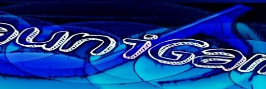 BrauniiGamer banner