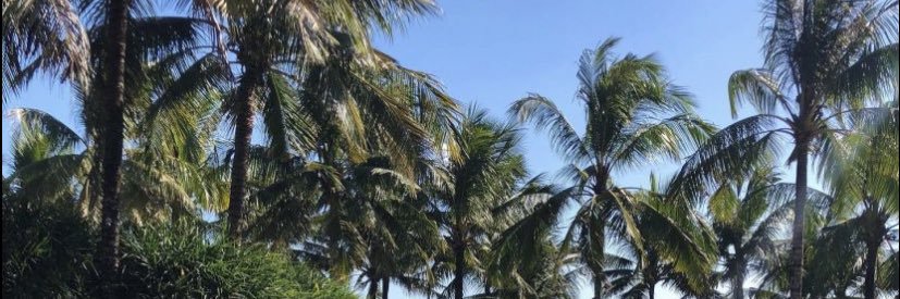 alan_alsager1's profile banner image