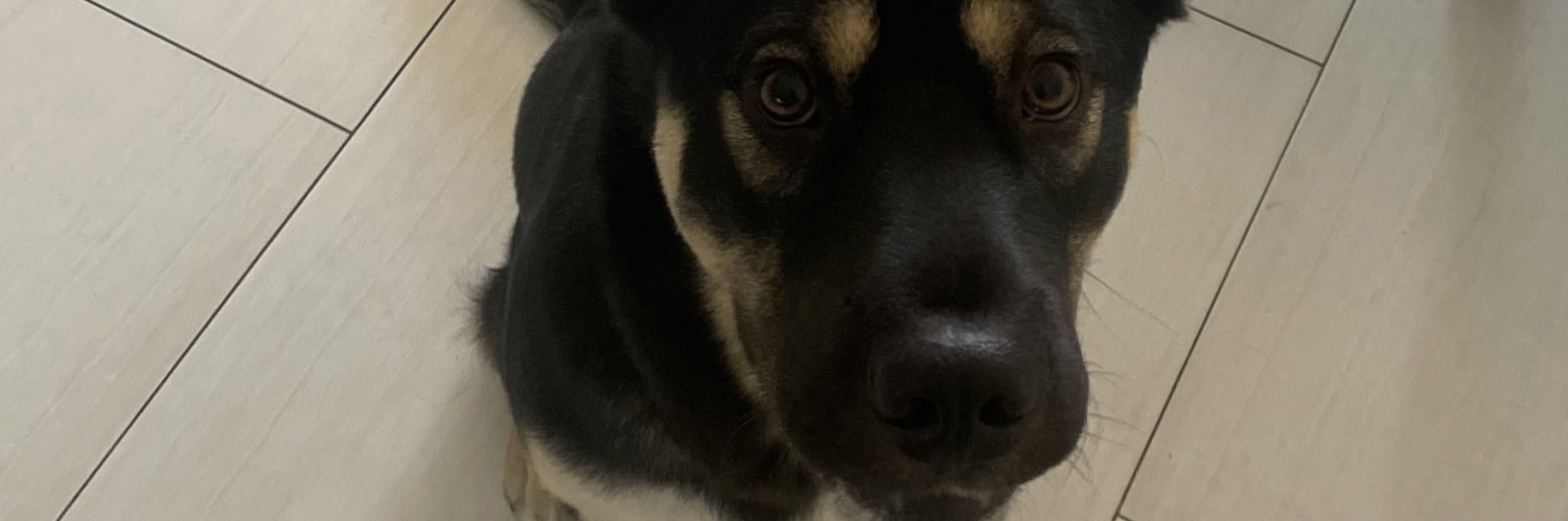 itsemilyjadee's profile banner image