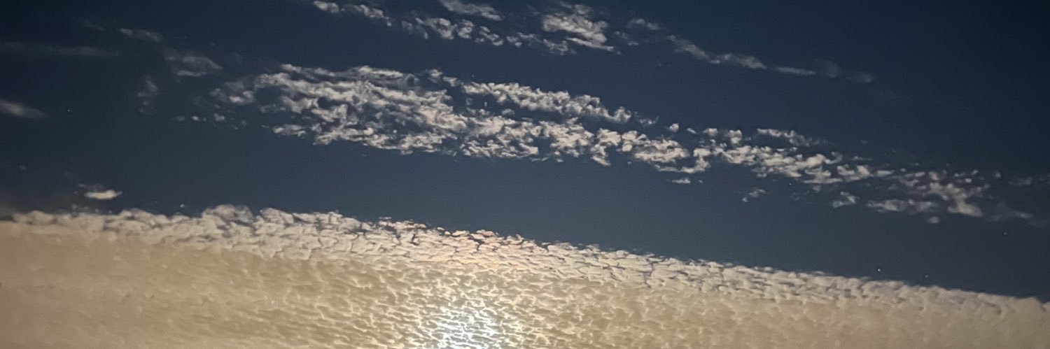 TheToewsTimes's profile banner image