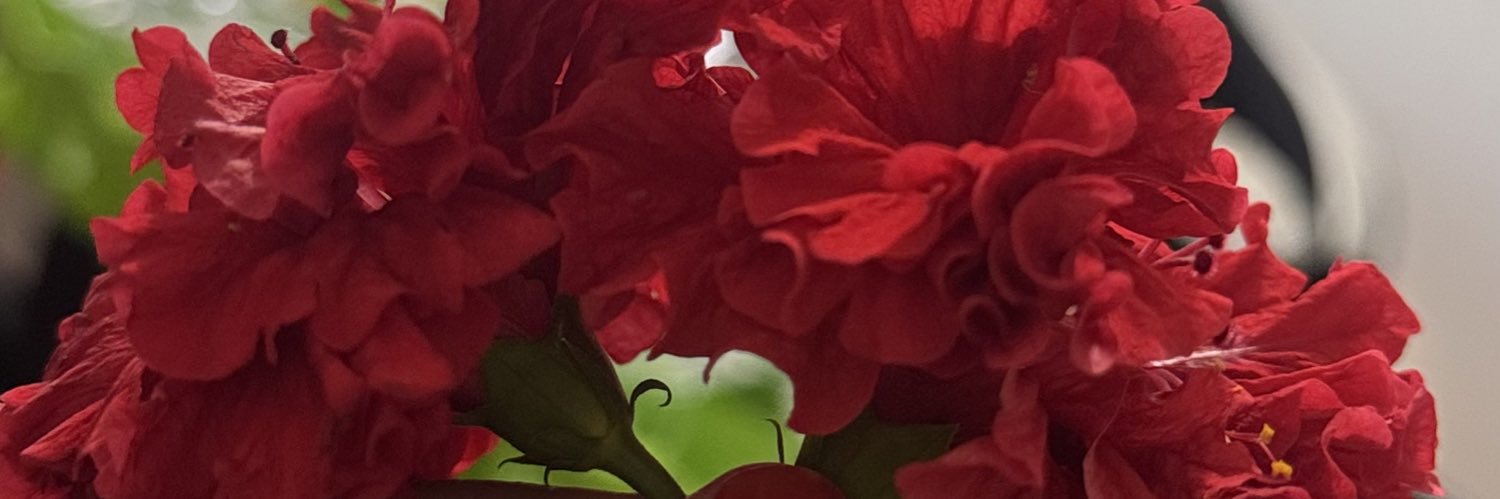 DeviDeviro_'s profile banner image