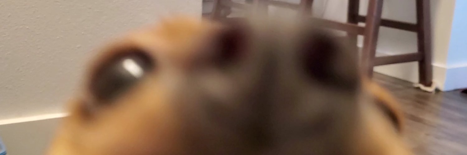 AGemOrSomething's profile banner image