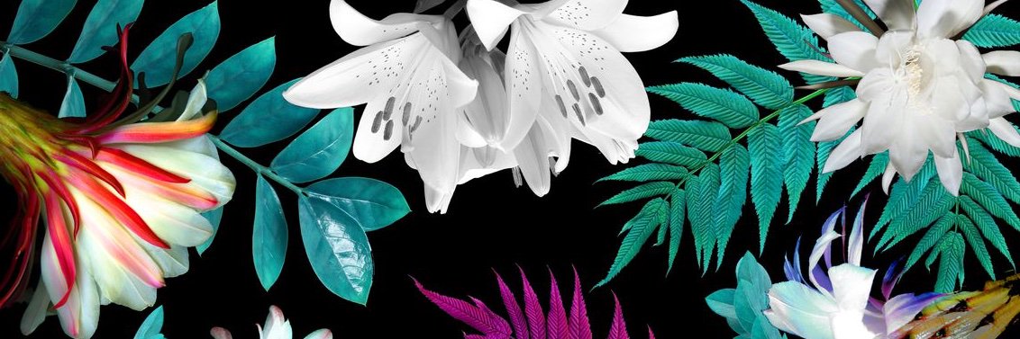 DaniJerezG's profile banner image