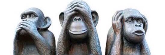 shameerpp1986's profile banner image
