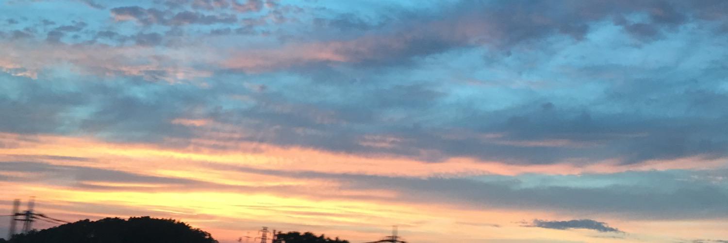 ErikaPart1's profile banner image