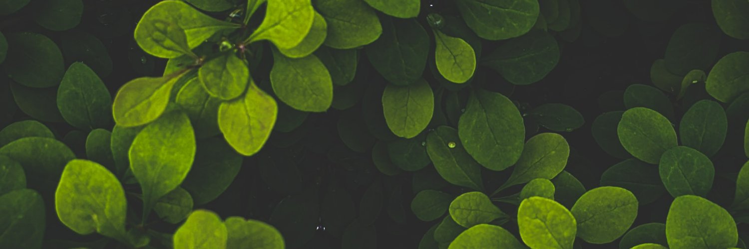 SanchezKapa's profile banner image