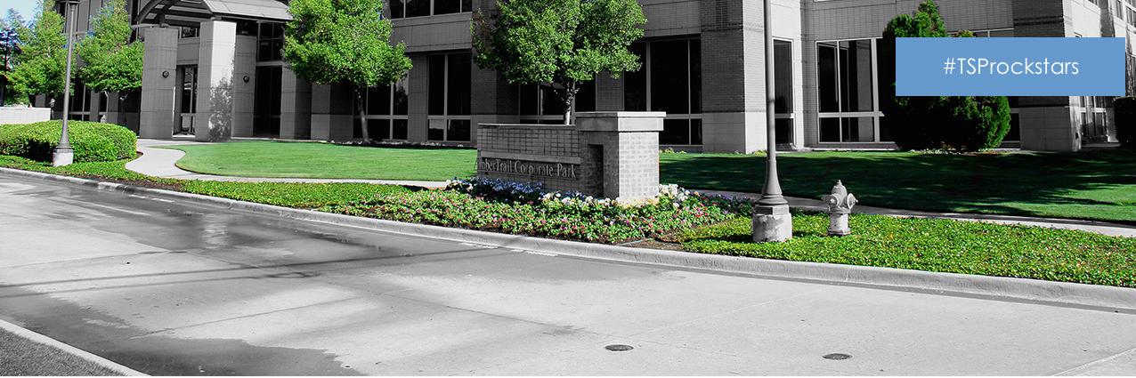 mknutson_tsp's profile banner image