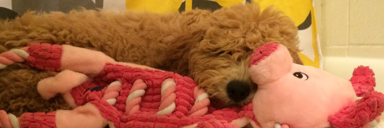 erikalstanley's profile banner image