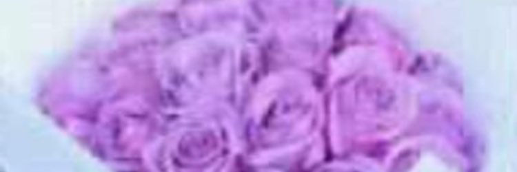Sarah_Alsh9's profile banner image