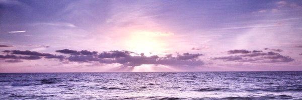 LollinCynch's profile banner image