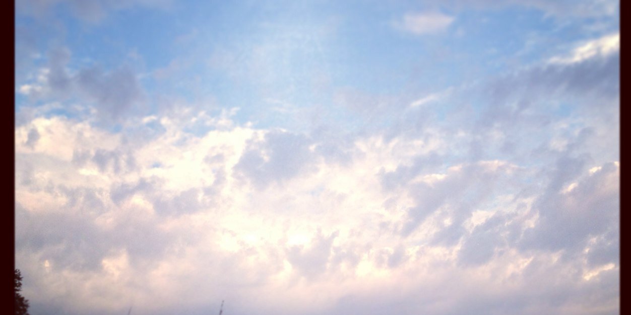 SheffieldBrandy's profile banner image