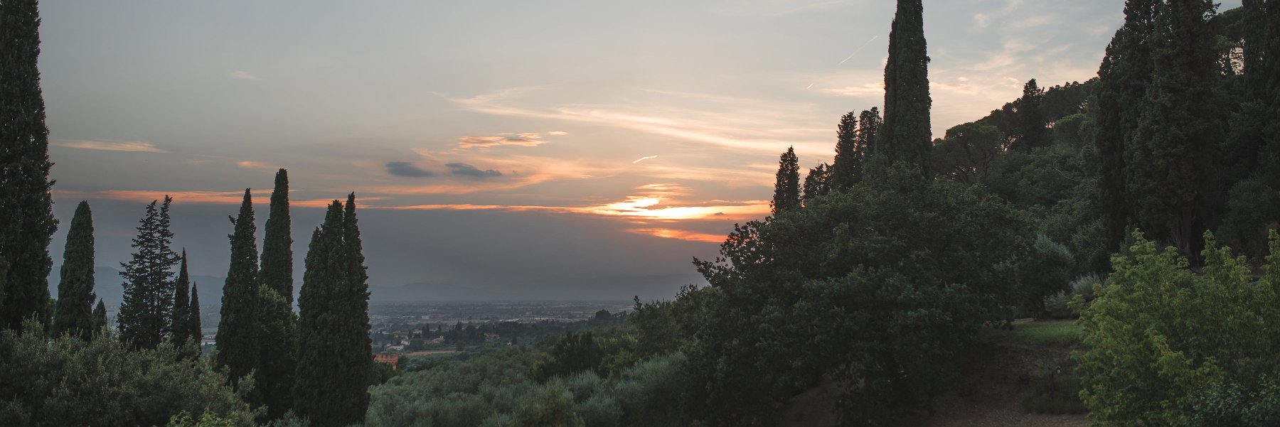hapawloski's profile banner image