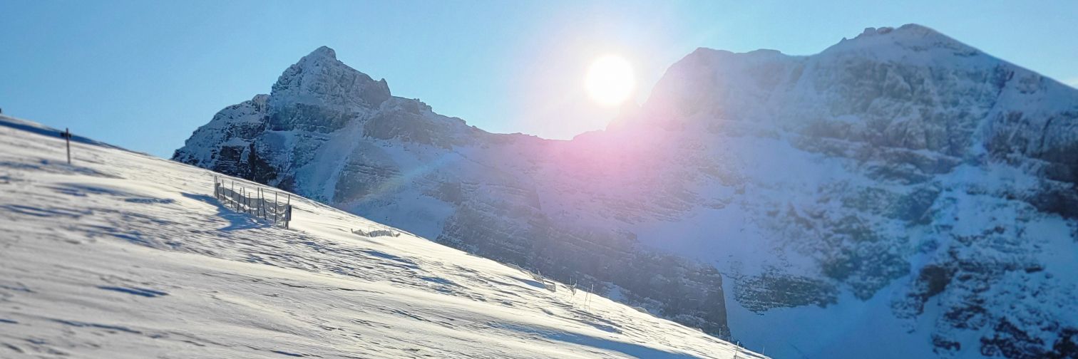 creatorsSon's profile banner image