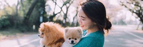 neulsxng_'s profile banner image