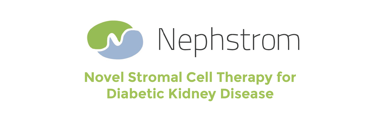 nephstrom's profile banner image