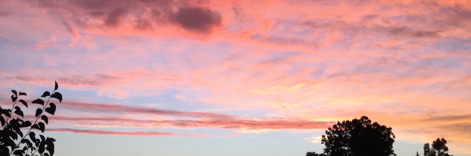 BEGutierrez_'s profile banner image