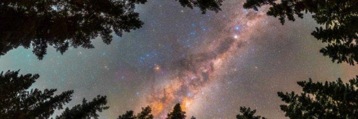 MendO_babe707's profile banner image