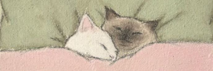 snmanda's profile banner image