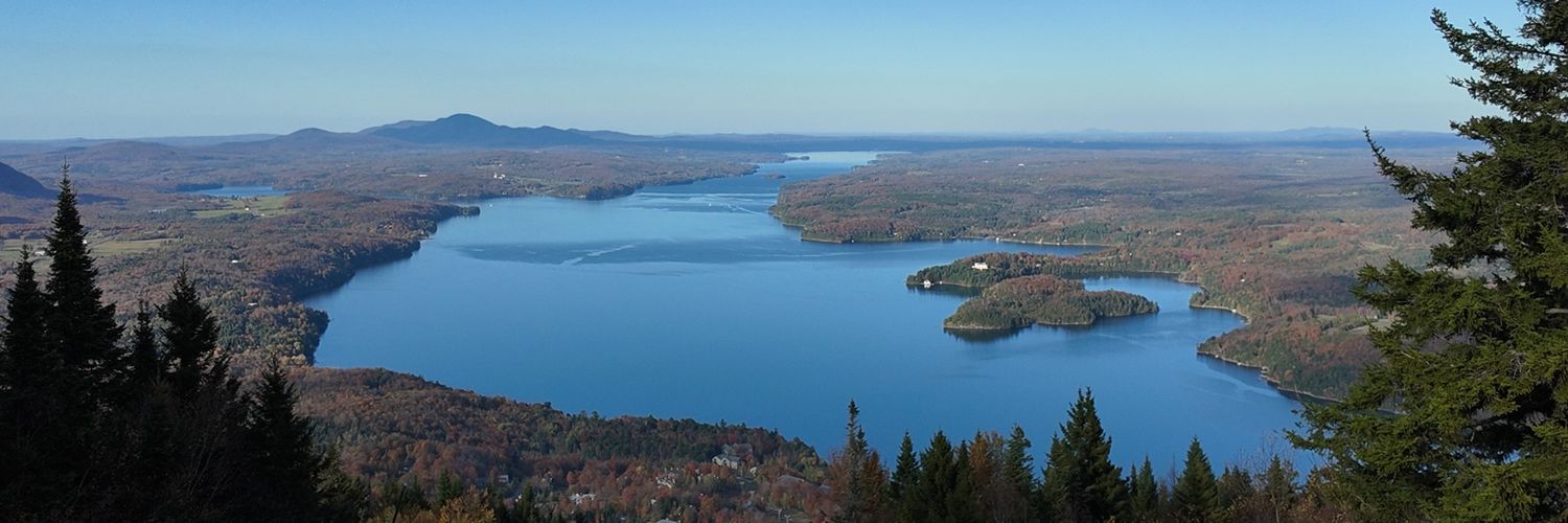 Bir💫n's Phenomenõns banner