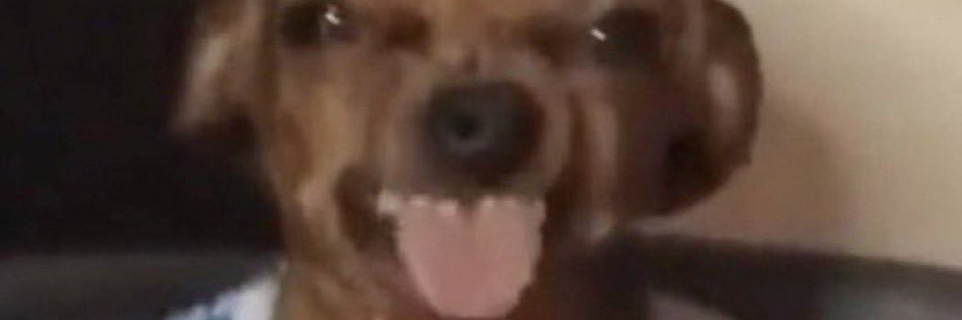 dddajd's profile banner image