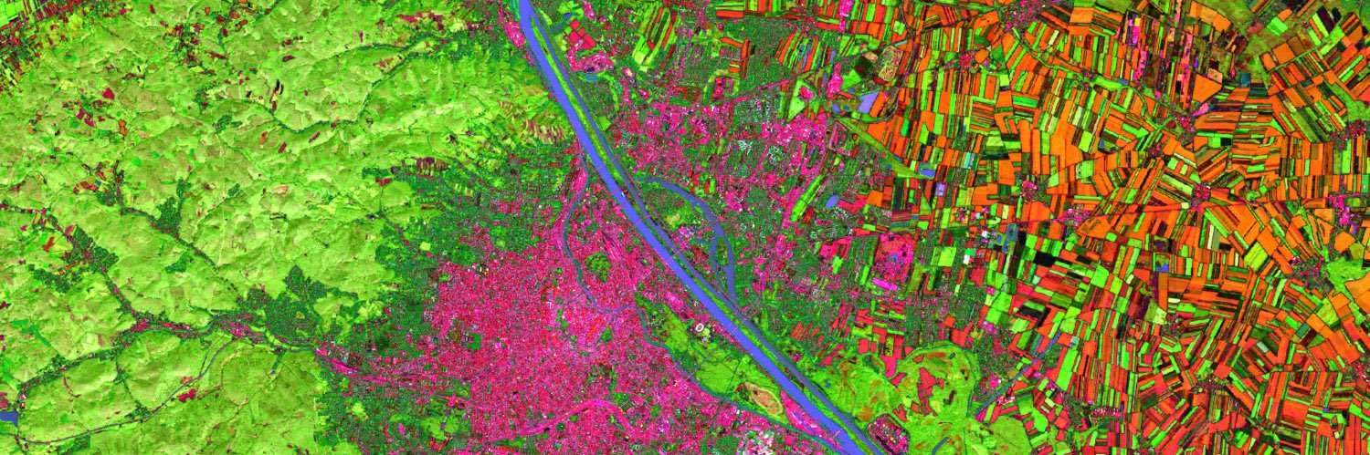 Dr. Amy Larson banner