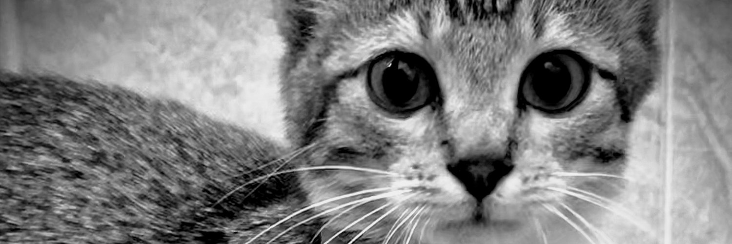 ItsJoyYia's profile banner image
