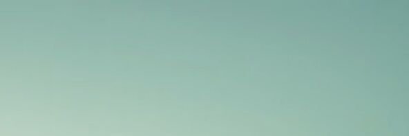 ✨ cin ✨ banner