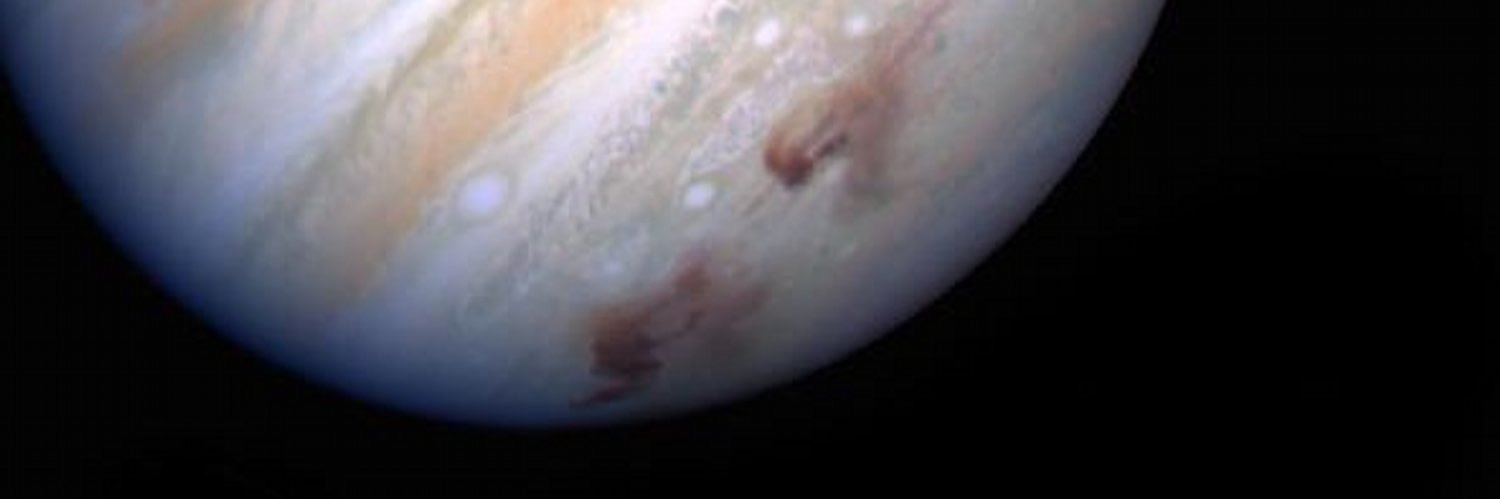 Hitoshi Hasegawa banner