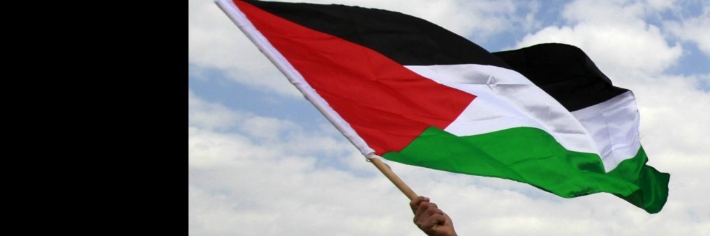 PRofPalestine's profile banner image