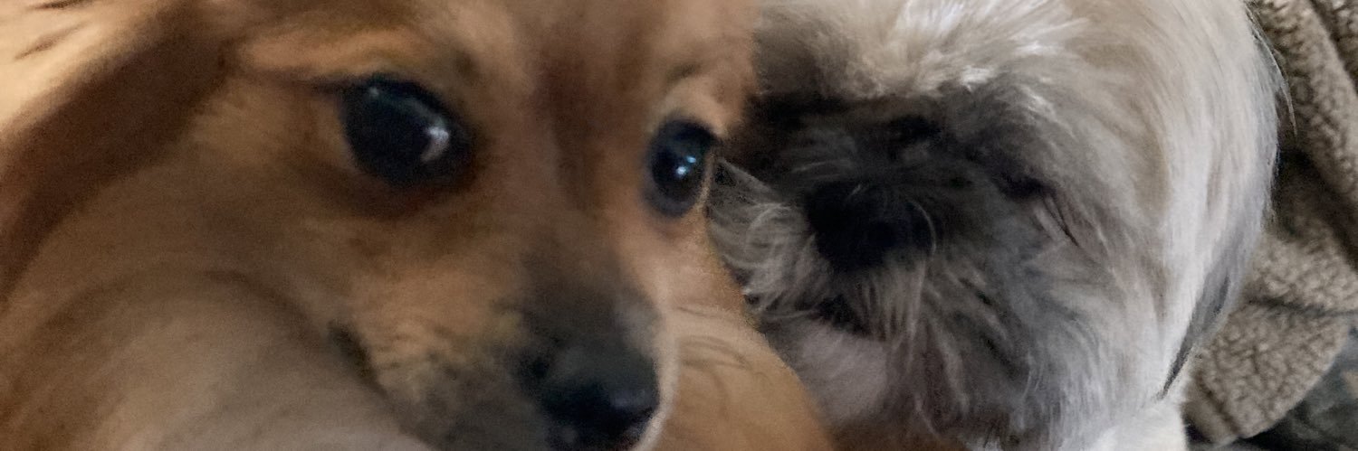 Tynabruce's profile banner image