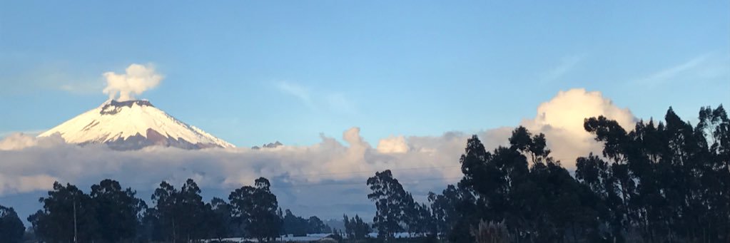 vanessajeanw's profile banner image