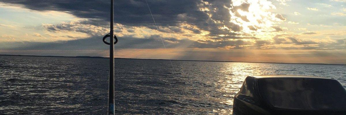 bradcarmon34's profile banner image