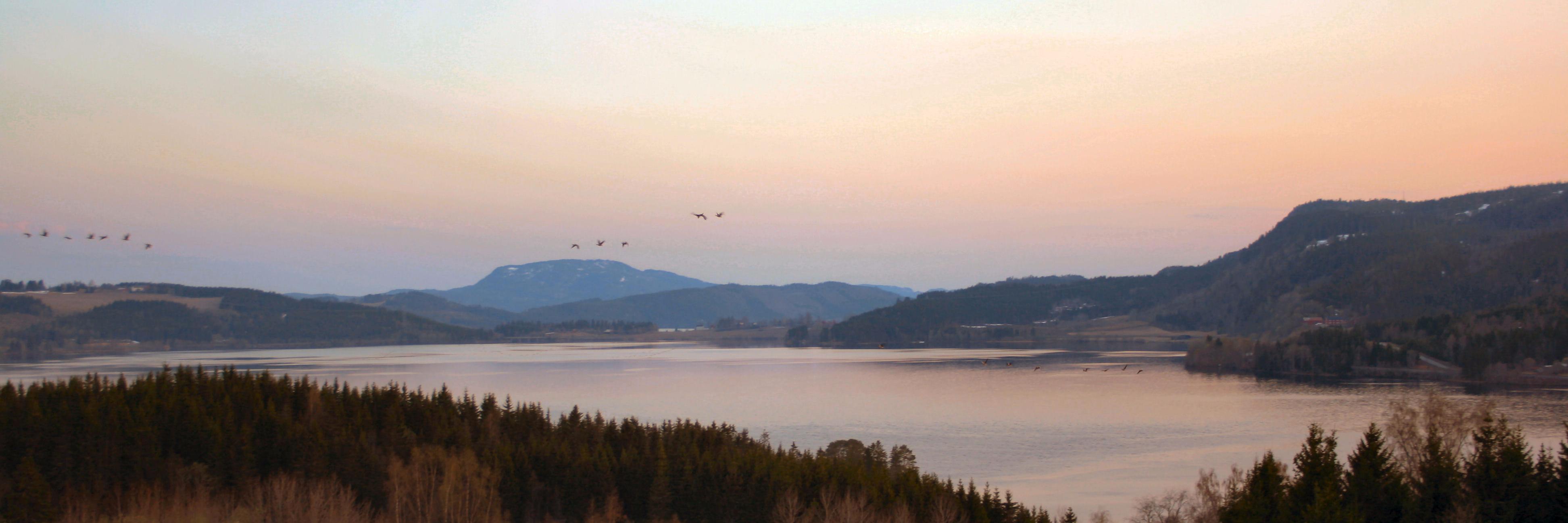 AretsMann's profile banner image