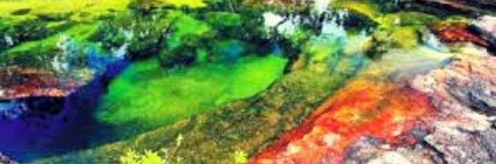 febobalam's profile banner image